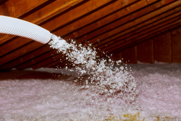 Best Cellulose Insulation in South Gate Ridge, FL