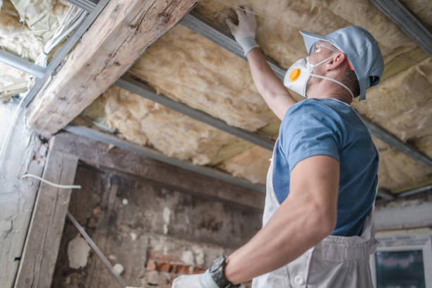Best DIY Insulation Kits and Guidance in South Gate Ridge, FL