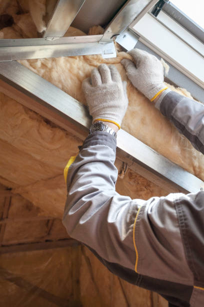 Best Residential Insulation in South Gate Ridge, FL