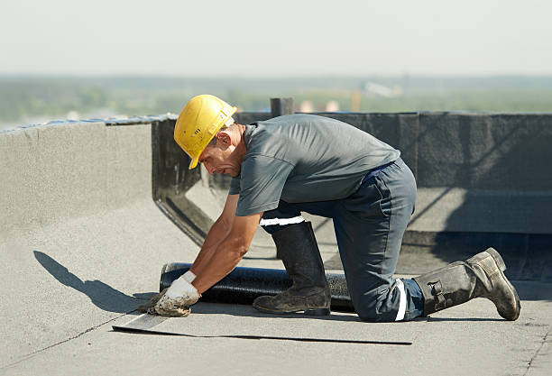 Best Fiberglass Insulation in South Gate Ridge, FL